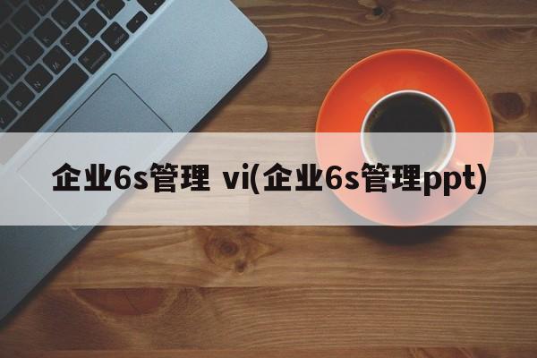 企业6s管理 vi(企业6s管理ppt)